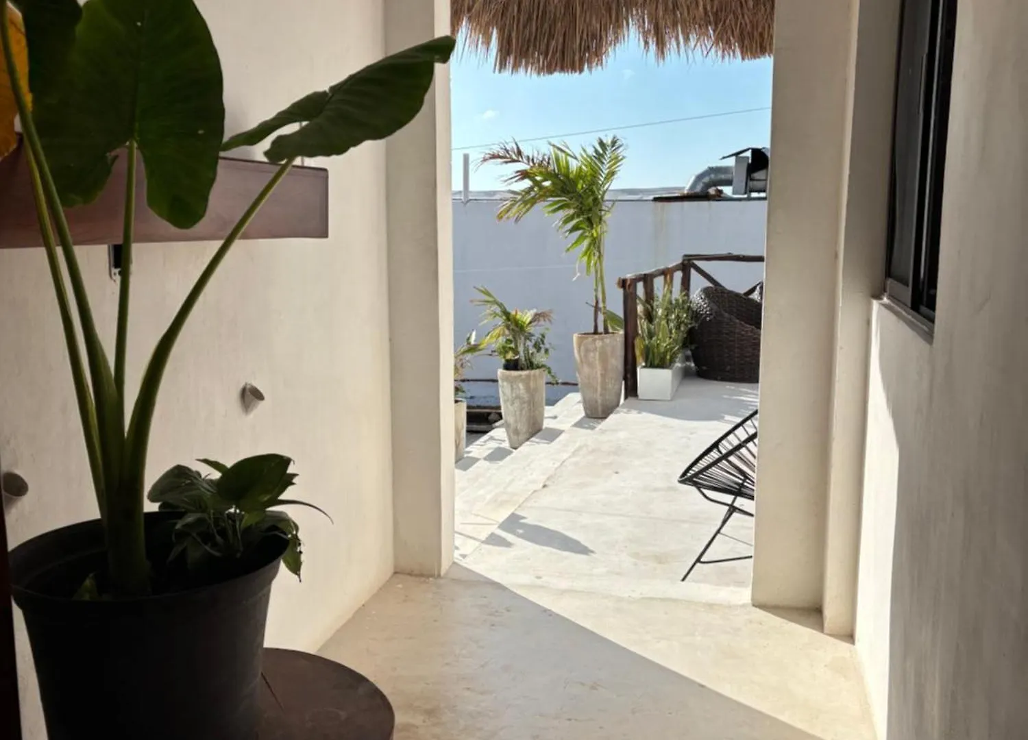 Hotel Mittoz Holbox  Isla Holbox