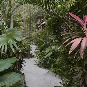 ** Hotel Boutique Terranova México